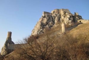 De Bratislava: excursão guiada privada de 3 horas ao Castelo de Devin