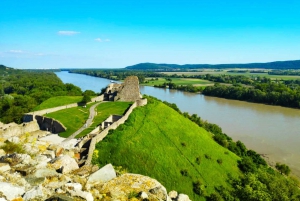 De Bratislava: excursão guiada privada de 3 horas ao Castelo de Devin