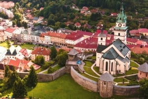 Von Bratislava aus: Dracula Nosferatu - Orava Castle Tagestour