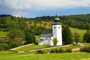 Von Bratislava aus: Dracula Nosferatu - Orava Castle Tagestour