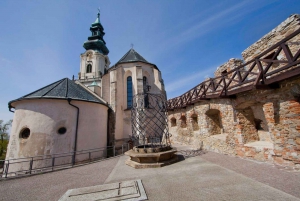 Von Bratislava aus: Dracula Nosferatu - Orava Castle Tagestour