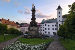 Von Bratislava aus: Dracula Nosferatu - Orava Castle Tagestour