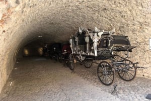Von Bratislava aus: Dracula Nosferatu - Orava Castle Tagestour
