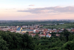 De Bratislava : Dégustation de vins biologiques à Svaty Jur