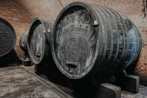 From Bratislava: Seegrotte Underground Lake Boating & Wine