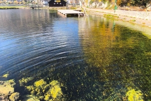 Fra Bratislava til de østrigske alper: Hallstatt og Salzburg