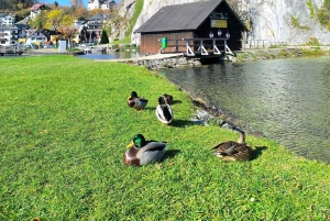 Fra Bratislava til de østrigske alper: Hallstatt og Salzburg