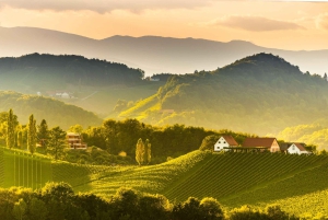 Fra Bratislava: dagstur til Wachau-dalen med vinsmaking