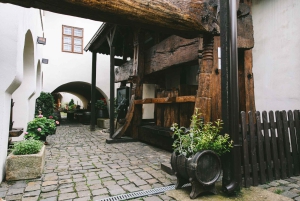 Från Bratislava: Vinsmakning och slott – guidad dagsutflykt