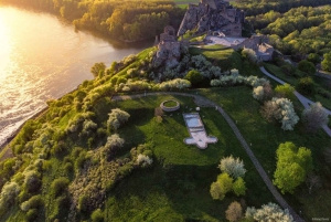 Från Bratislava: Vinsmakning och slott – guidad dagsutflykt