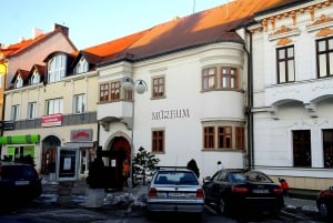 Från Bratislava: Vinsmakning och slott – guidad dagsutflykt