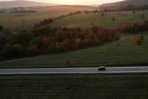 Fra Budapest: Dagstur til Bratislava med minibuss