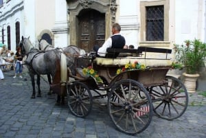 From Budapest: Full-Day Danube Bend Bus/Boat Tour with Lunch