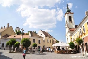 From Budapest: Full-Day Danube Bend Bus/Boat Tour with Lunch