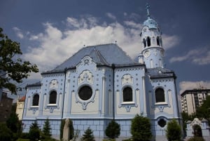 From Budapest: Private Day Trip to Bratislava with Local