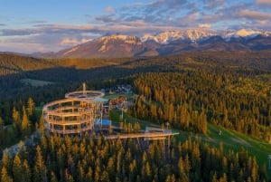 From Kraków: Mountain Treetop Walk & Zakopane Day Trip