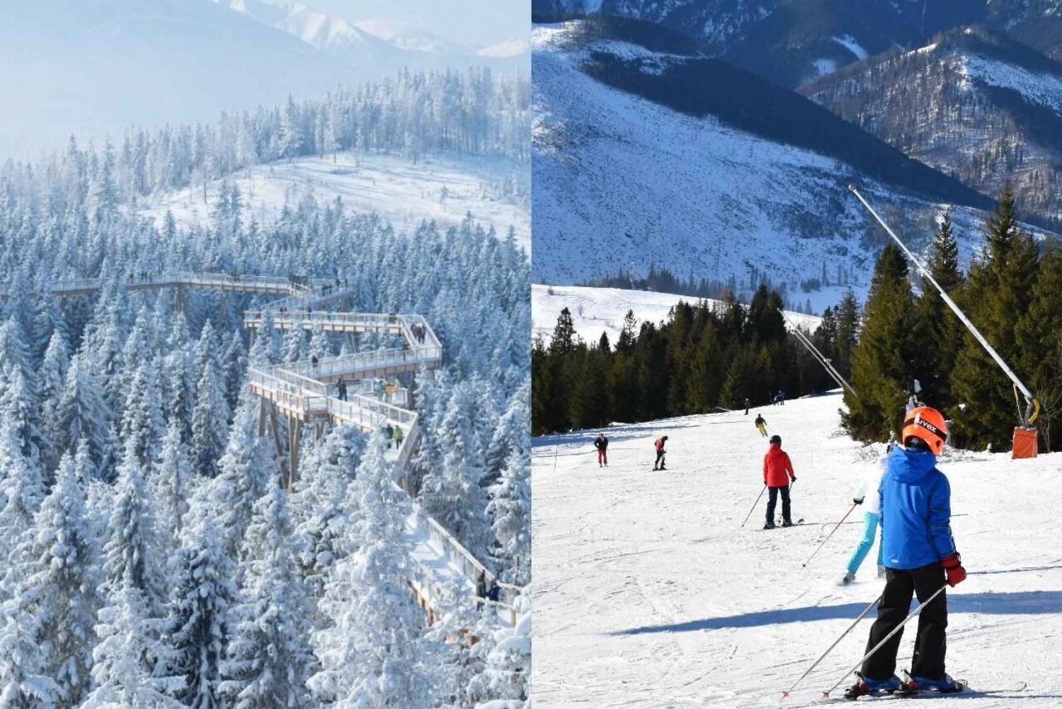 De Cracóvia: caminhada pelas copas das árvores da Eslováquia e passe de esqui de 4 horas
