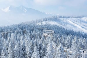 Depuis Cracovie : Marche dans les arbres en Slovaquie et forfait de ski de 4 heures