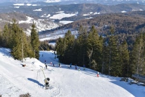Depuis Cracovie : Marche dans les arbres en Slovaquie et forfait de ski de 4 heures