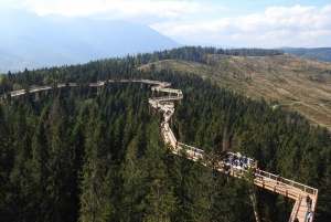 From Kraków: Slovakia Treetop Walk and Thermal Baths