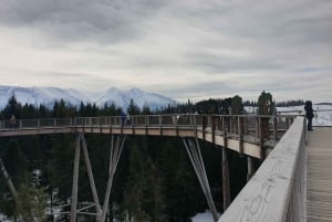 From Krakow: Slovakia Treetop Walk and Thermal Spa