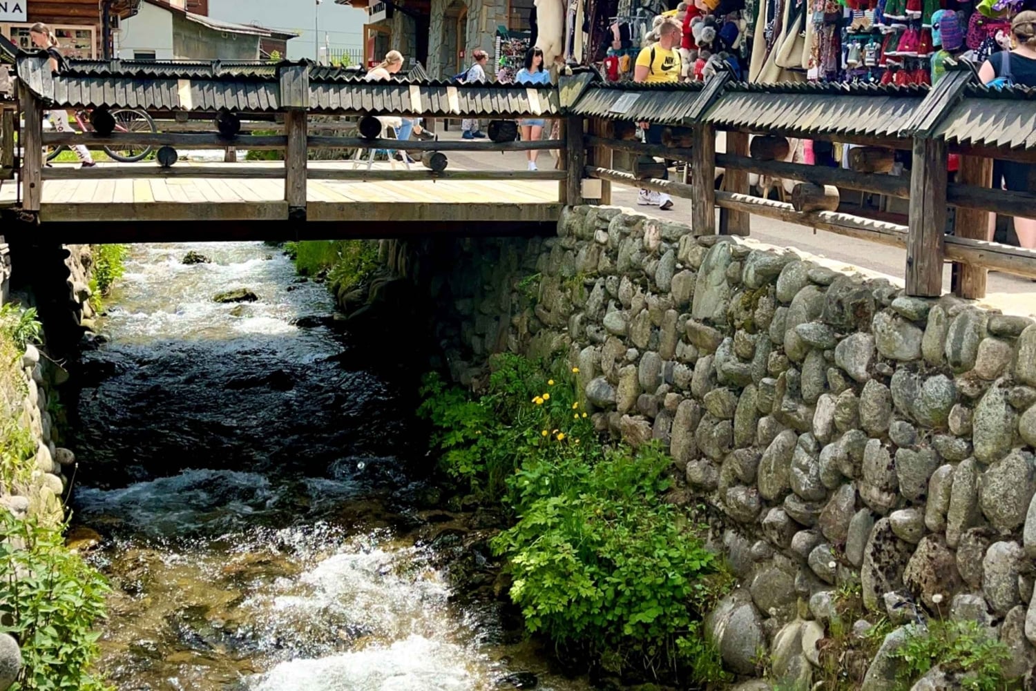 Vanuit Krakau: Slowakije Treetop Walk en Zakopane Tour