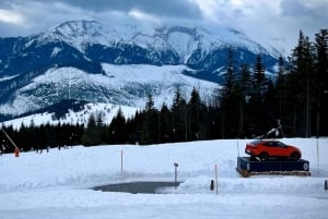 Vanuit Krakau: Slowakije Treetop Walk en Zakopane Tour