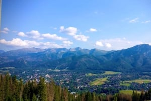 Vanuit Krakau: Slowakije Treetop Walk en Zakopane Tour
