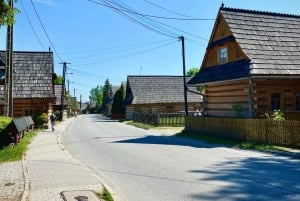 Vanuit Krakau: Slowakije Treetop Walk en Zakopane Tour
