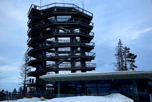 Vanuit Krakau: Slowakije Treetop Walk en Zakopane Tour