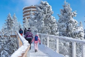 Vanuit Krakau: Boomkroonwandeling, skiën en thermaal bad in Slowakije