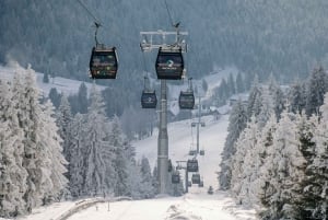 Von Krakau aus: Baumkronenwanderung, Skifahren und Thermalbad in der Slowakei