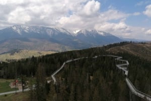 Van Krakau: Slowakije Treetop Walk, Zakopane en thermale baden