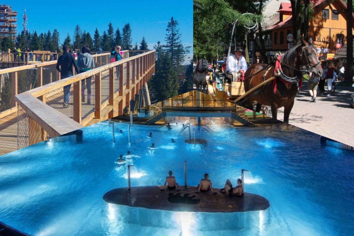 Från Kraków: Treetop Walk i Slovakien, Zakopane och spa