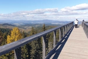 From Krakow: Tour to Slovakia Treetop Walk and Thermal Baths