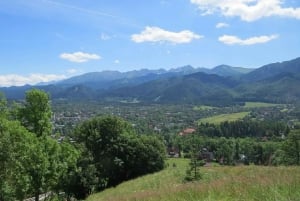 Von Krakau aus: Baumkronen-Spaziergang & Zakopane-Besuch Kleingruppen-Tour