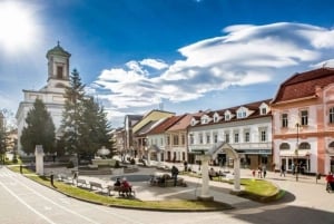 Частная экскурсия из Попрада в Левочу