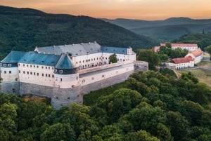From Vienna/Bratislava: Castles, Čičmany & UFO Observation