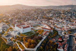 De Viena: Viagem de 1 dia aos pontos altos da cidade de Bratislava