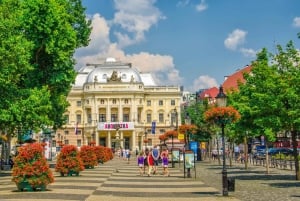 From Vienna: Bratislava City Tour with Food Options