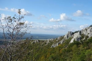 Von Wien aus: Halbtagestour mit Führung nach Bratislava und in die Landschaft