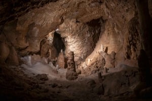 Von Wien aus: Halbtagestour mit Führung nach Bratislava und in die Landschaft