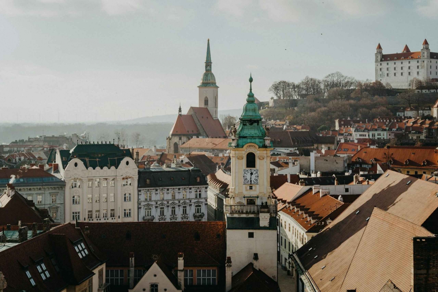 De Viena: Viagem de 1 dia a Bratislava com almoço tradicional