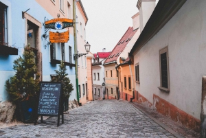 From Vienna: Bratislava Full-Day Trip with Traditional Lunch