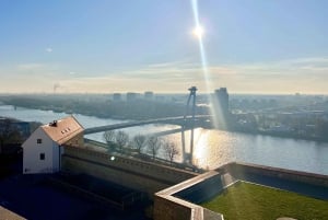 Wienistä: Budapestin ja Bratislavan päiväretki oppaan kanssa