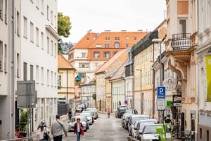 Från Wien: Utforska smakerna i Bratislava på en dagsutflykt