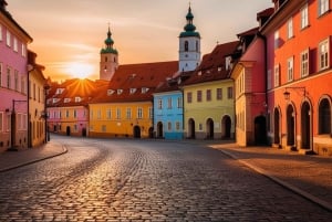 Depuis Vienne : Excursion privée d'une journée à Bratislava avec transfert