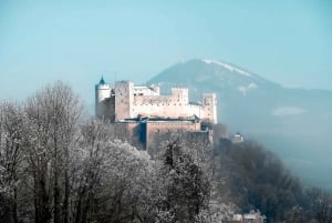 From Vienna: Wachau, Melk, Hallstatt, and Salzburg Day Trip