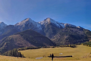 From Zakopane: Tree Top Walk and Belianska Cave Day Trip