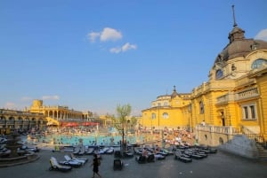 Halvdags privat rundtur med bil i Budapest